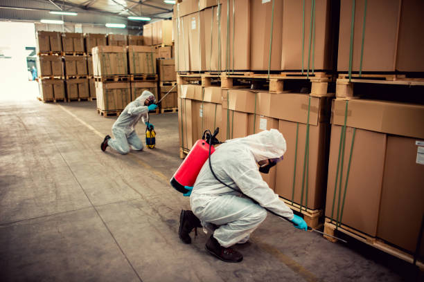 Best Termite Control Services  in Keenesburg, CO