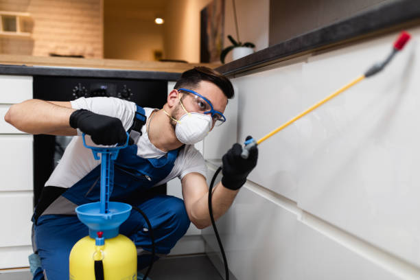 Best Residential Pest Control  in Keenesburg, CO