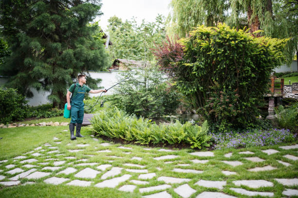 Best Best Pest Control Companies  in Keenesburg, CO