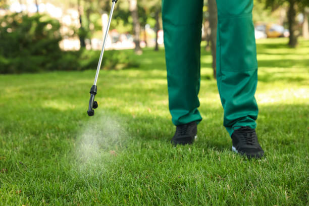 Best Pest Prevention Services  in Keenesburg, CO