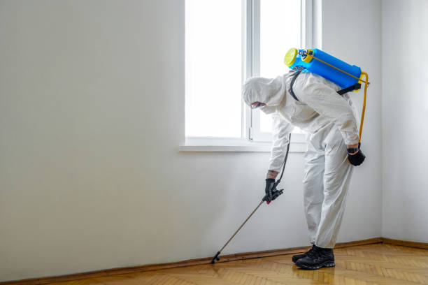 Best Pest Removal Services  in Keenesburg, CO