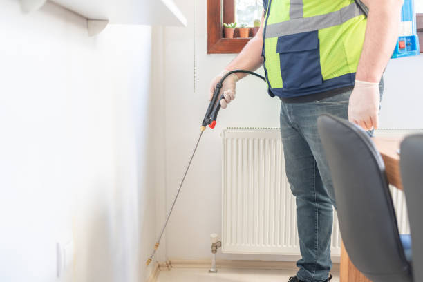 Best Local Pest Control Services  in Keenesburg, CO