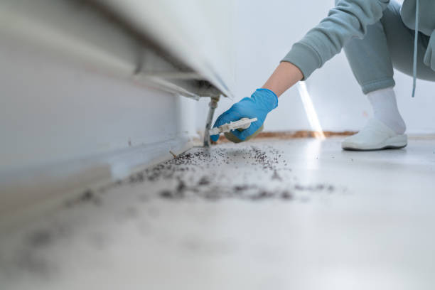 Best Mosquito Control Services  in Keenesburg, CO