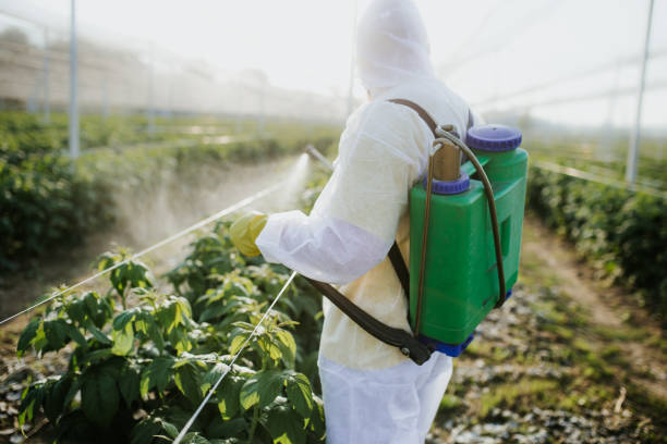 Reliable Keenesburg, CO Pest Control Solutions